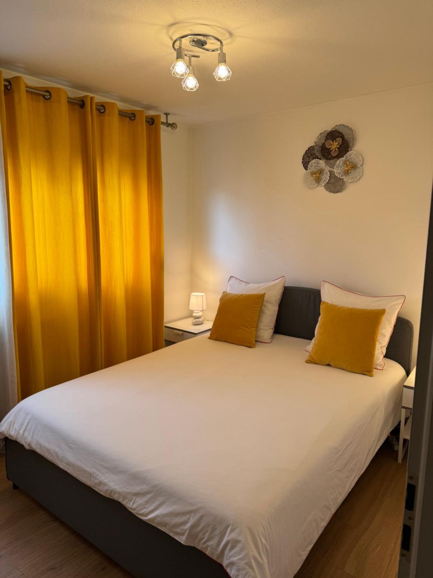 Sion City Mulhouse Centre - Parking Et Balcon-Wifi 5G Gratuit ภายนอก รูปภาพ